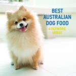 Best Australian Dog Food
